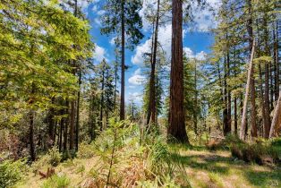 Residential Lot,  Umland circle, Jenner, CA 95450 - 12