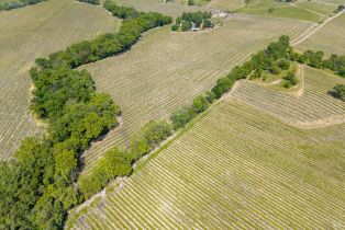 Single Family Residence,  Old Vine lane, Windsor, CA 95492 - 44