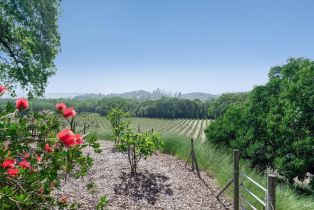 Single Family Residence,  Old Vine lane, Windsor, CA 95492 - 39