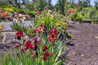 Single Family Residence, Chanate road, Santa Rosa, CA 95404 - 16