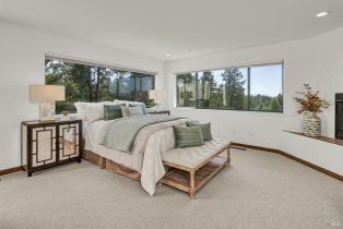 Single Family Residence, Chanate road, Santa Rosa, CA 95404 - 49