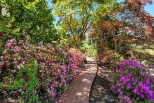 Single Family Residence, Chanate road, Santa Rosa, CA 95404 - 78