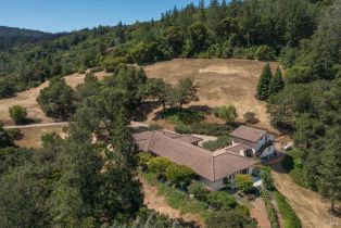 Single Family Residence,  Dry Creek road, Healdsburg, CA 95448 - 3