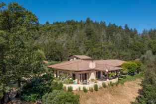 Single Family Residence,  Dry Creek road, Healdsburg, CA 95448 - 61