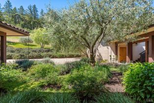 Single Family Residence,  Dry Creek road, Healdsburg, CA 95448 - 10