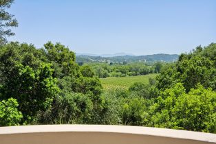 Single Family Residence,  Dry Creek road, Healdsburg, CA 95448 - 41