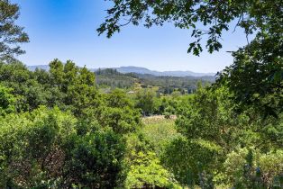 Single Family Residence,  Dry Creek road, Healdsburg, CA 95448 - 51
