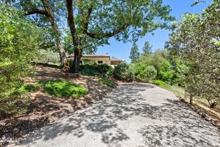 Single Family Residence,  Dry Creek road, Healdsburg, CA 95448 - 52