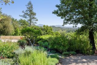 Single Family Residence,  Dry Creek road, Healdsburg, CA 95448 - 48