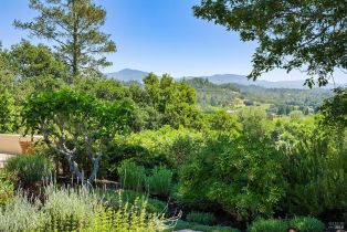 Single Family Residence,  Dry Creek road, Healdsburg, CA 95448 - 50
