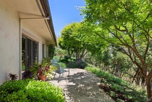 Single Family Residence,  Dry Creek road, Healdsburg, CA 95448 - 46