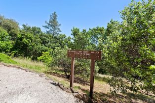 Single Family Residence,  Dry Creek road, Healdsburg, CA 95448 - 53