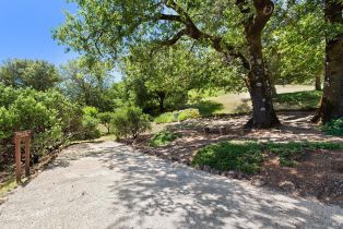 Single Family Residence,  Dry Creek road, Healdsburg, CA 95448 - 54