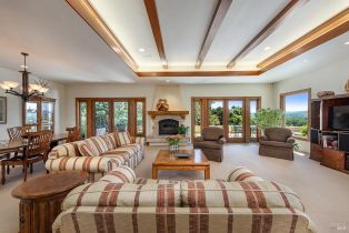 Single Family Residence,  Dry Creek road, Healdsburg, CA 95448 - 20