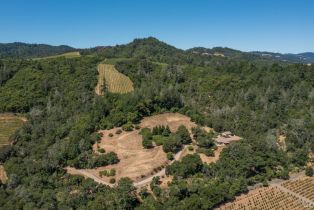 Single Family Residence,  Dry Creek road, Healdsburg, CA 95448 - 64