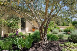 Single Family Residence,  Dry Creek road, Healdsburg, CA 95448 - 49