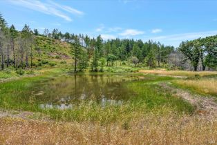 Residential Acreage,  St Helena road, Santa Rosa, CA 95404 - 3