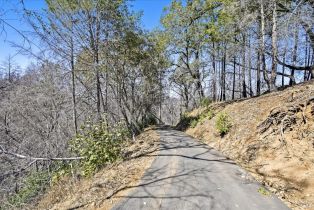 Residential Acreage,  St Helena road, Santa Rosa, CA 95404 - 21