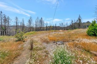 Residential Acreage,  St Helena road, Santa Rosa, CA 95404 - 15