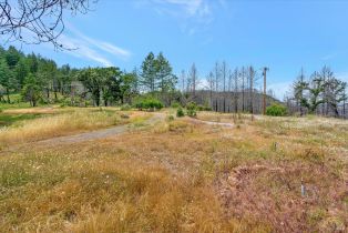 Residential Acreage,  St Helena road, Santa Rosa, CA 95404 - 19