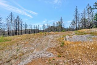 Residential Acreage,  St Helena road, Santa Rosa, CA 95404 - 16
