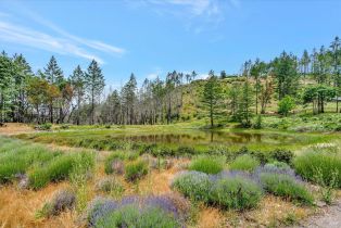 Land, 8560 St Helena Rd, Santa Rosa, CA  Santa Rosa, CA 95404