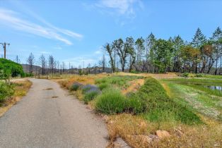 Residential Acreage,  St Helena road, Santa Rosa, CA 95404 - 10