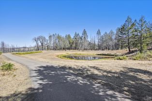 Residential Acreage,  St Helena road, Santa Rosa, CA 95404 - 7