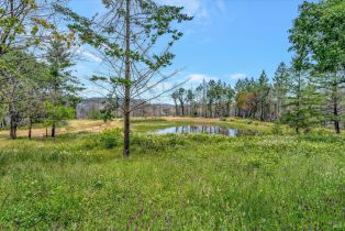 Residential Acreage,  St Helena road, Santa Rosa, CA 95404 - 2