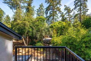 Single Family Residence,  Montecito avenue, Santa Rosa, CA 95404 - 71