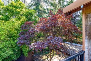 Single Family Residence,  Montecito avenue, Santa Rosa, CA 95404 - 69