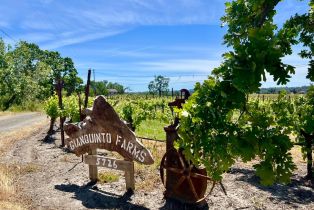 Single Family Residence, 5726 Hall Rd, Santa Rosa, CA  Santa Rosa, CA 95401