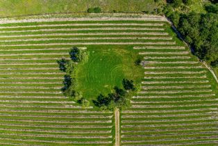 Residential Acreage,  Sonoma Mountain road, Santa Rosa, CA 95404 - 2