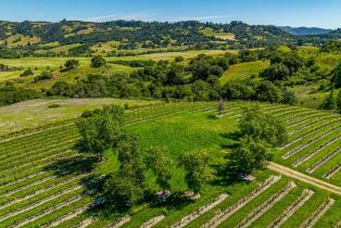 Residential Acreage,  Sonoma Mountain road, Santa Rosa, CA 95404 - 9