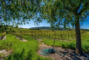 Residential Acreage,  Sonoma Mountain road, Santa Rosa, CA 95404 - 12