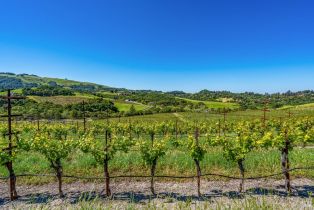 Residential Acreage,  Sonoma Mountain road, Santa Rosa, CA 95404 - 18