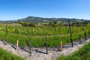 Residential Acreage,  Sonoma Mountain road, Santa Rosa, CA 95404 - 52