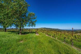 Residential Acreage,  Sonoma Mountain road, Santa Rosa, CA 95404 - 16