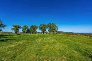 Residential Acreage,  Sonoma Mountain road, Santa Rosa, CA 95404 - 23