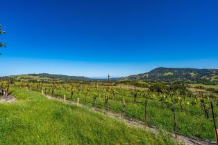 Residential Acreage,  Sonoma Mountain road, Santa Rosa, CA 95404 - 17