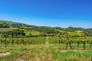 Residential Acreage,  Sonoma Mountain road, Santa Rosa, CA 95404 - 46