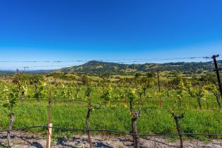 Residential Acreage,  Sonoma Mountain road, Santa Rosa, CA 95404 - 25