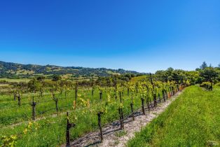Residential Acreage,  Sonoma Mountain road, Santa Rosa, CA 95404 - 32