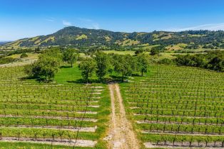 Residential Acreage,  Sonoma Mountain road, Santa Rosa, CA 95404 - 10