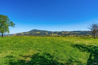 Residential Acreage,  Sonoma Mountain road, Santa Rosa, CA 95404 - 15