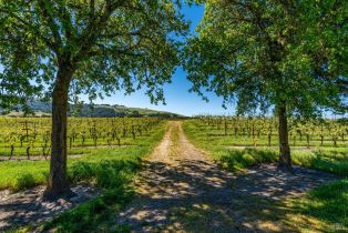 Residential Acreage,  Sonoma Mountain road, Santa Rosa, CA 95404 - 11