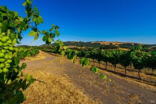 Residential Acreage,  Sonoma Mountain road, Santa Rosa, CA 95404 - 37