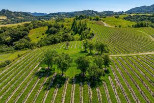 Residential Acreage,  Sonoma Mountain road, Santa Rosa, CA 95404 - 8