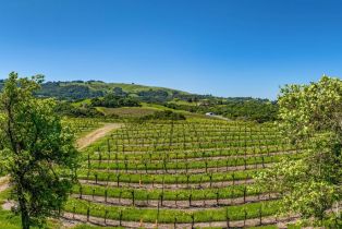Residential Acreage,  Sonoma Mountain road, Santa Rosa, CA 95404 - 39