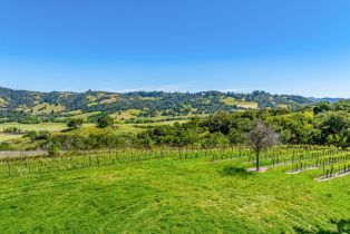 Residential Acreage,  Sonoma Mountain road, Santa Rosa, CA 95404 - 22